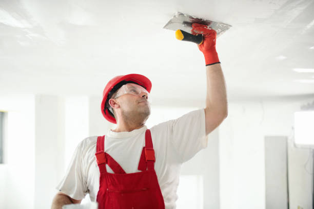 Best Stucco Painting  in , NJ